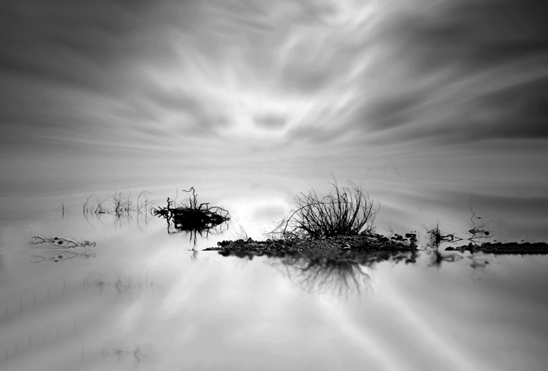 Animated monochrome images gallery